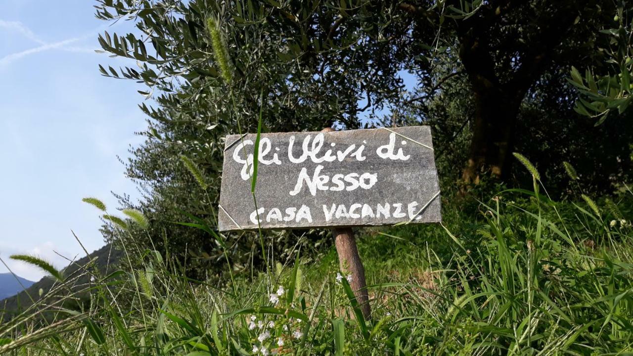 Villa Gli Ulivi Di Nesso Exterior foto